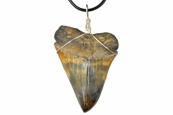 Fossil Mako Shark Tooth Necklace #130913